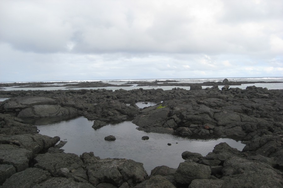 ../image/kapoho tide pools 4.jpg